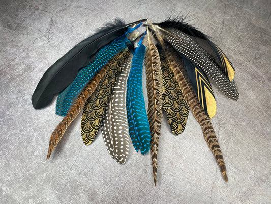 Collection of Large Feathers - 12 Pheasant and Goose Feathers, Dyed and Hand Painted Quality Assortment, DIY Makers Crafters, Home Decor